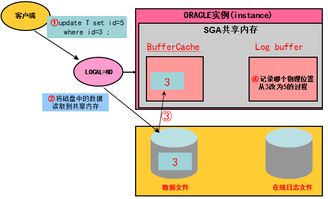Oracle数据库管理 深度剖析与优化IO性能以提升数据库服务